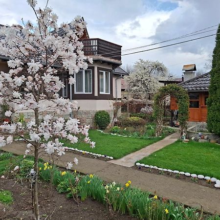 Casa Fetic Lägenhet Nehoiu Exteriör bild