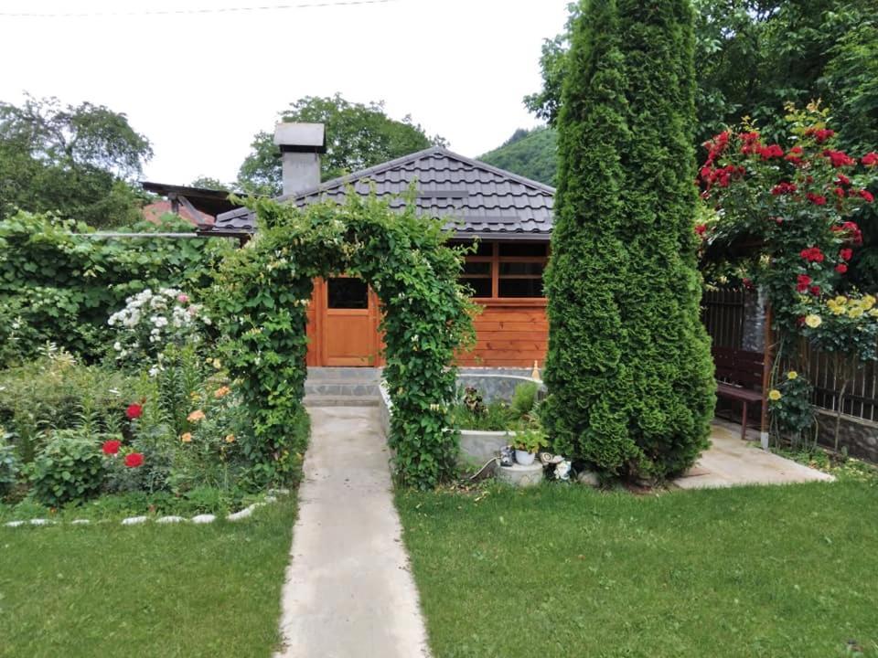 Casa Fetic Lägenhet Nehoiu Exteriör bild