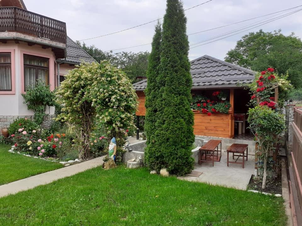 Casa Fetic Lägenhet Nehoiu Exteriör bild