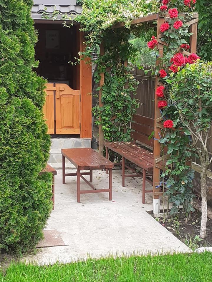 Casa Fetic Lägenhet Nehoiu Exteriör bild