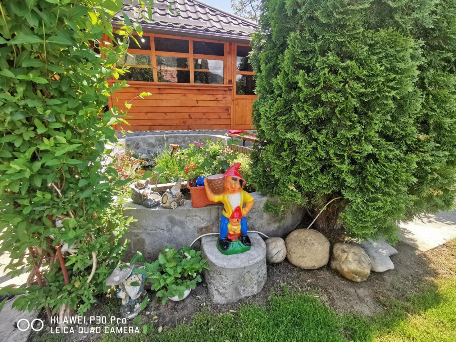 Casa Fetic Lägenhet Nehoiu Exteriör bild