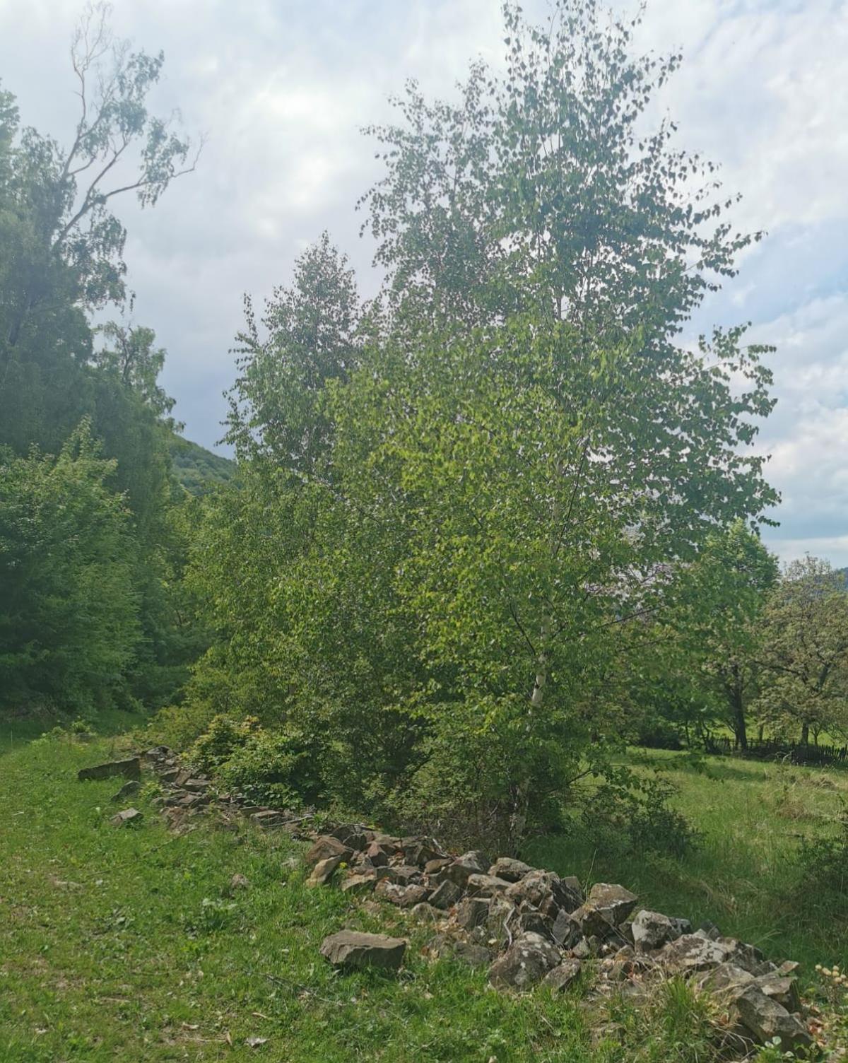 Casa Fetic Lägenhet Nehoiu Exteriör bild