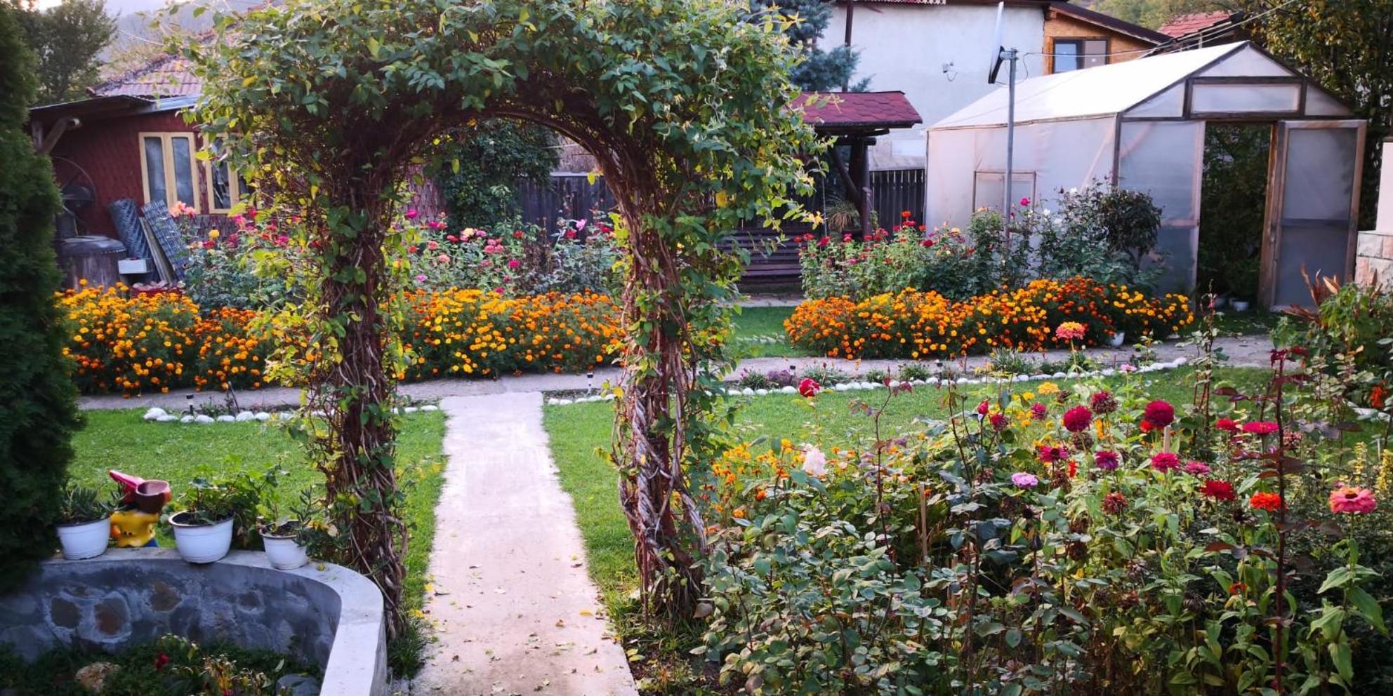 Casa Fetic Lägenhet Nehoiu Exteriör bild