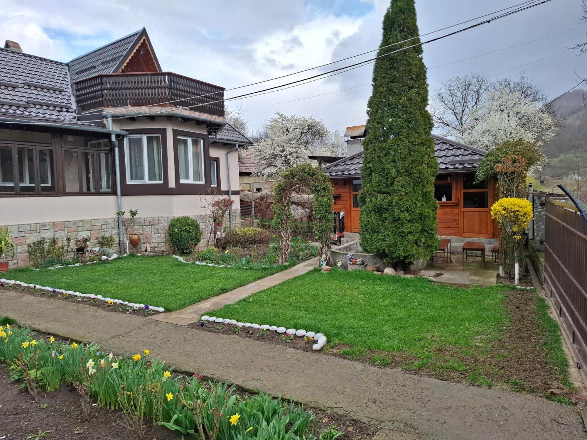Casa Fetic Lägenhet Nehoiu Exteriör bild
