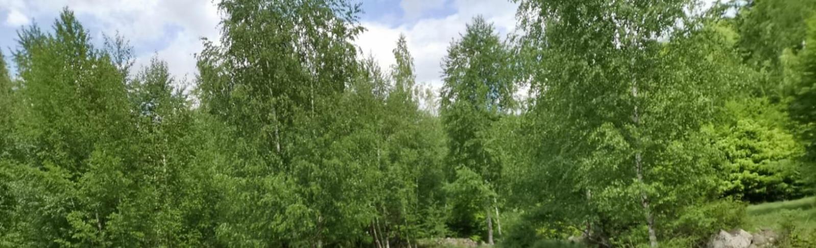 Casa Fetic Lägenhet Nehoiu Exteriör bild