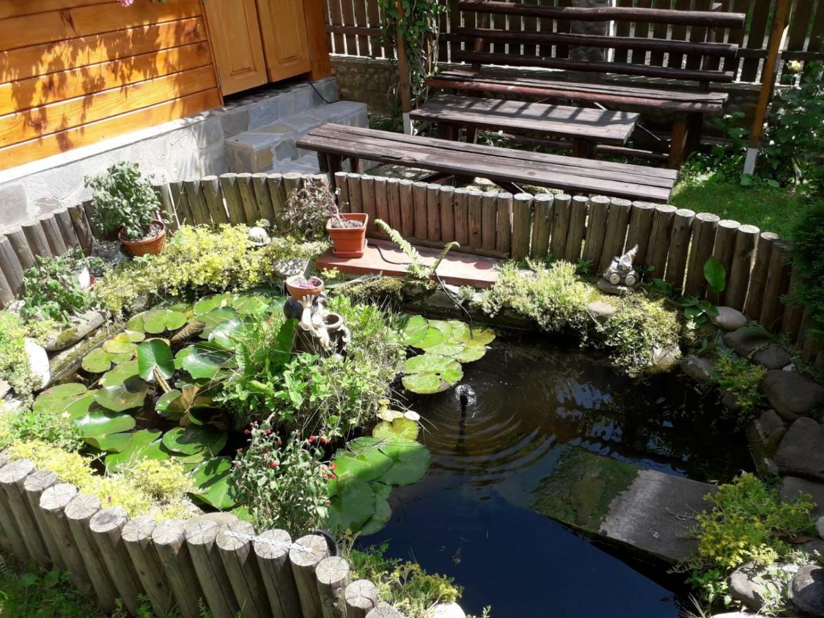 Casa Fetic Lägenhet Nehoiu Exteriör bild