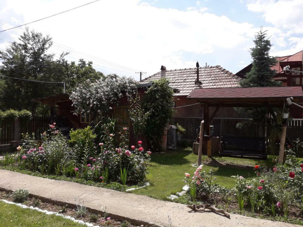 Casa Fetic Lägenhet Nehoiu Exteriör bild