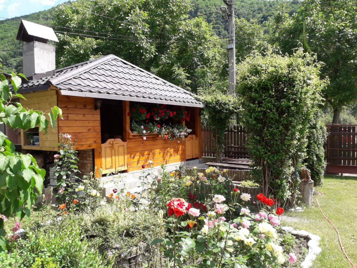 Casa Fetic Lägenhet Nehoiu Exteriör bild