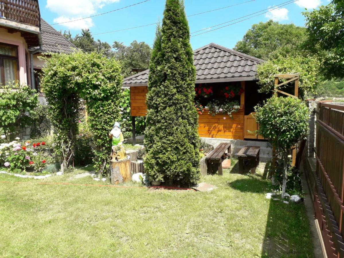Casa Fetic Lägenhet Nehoiu Exteriör bild