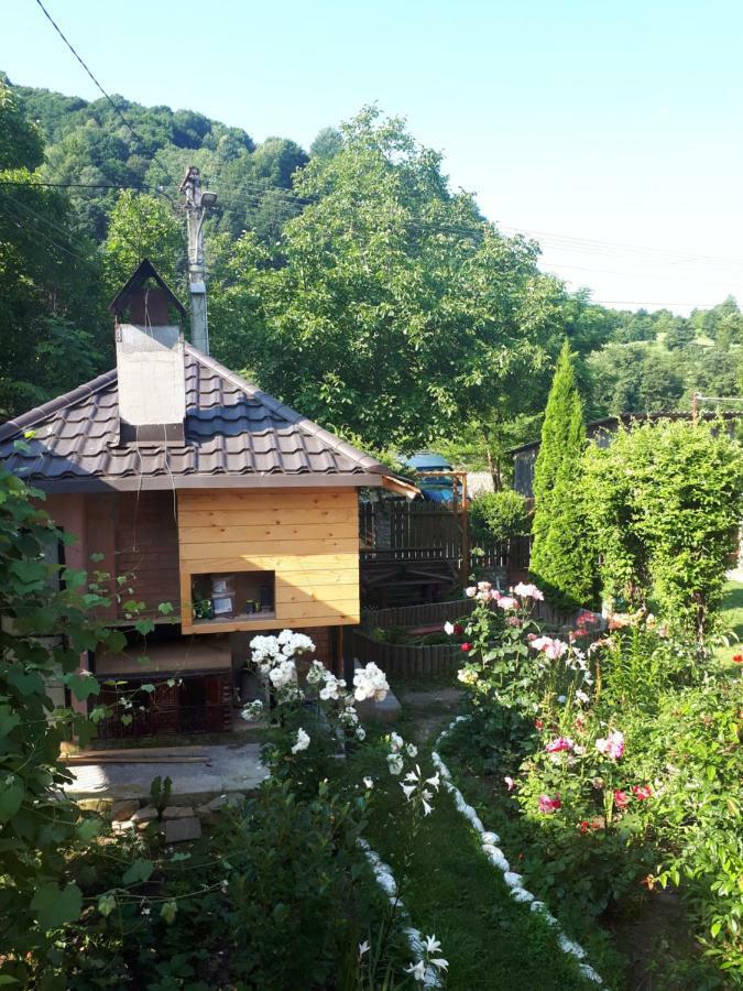 Casa Fetic Lägenhet Nehoiu Exteriör bild
