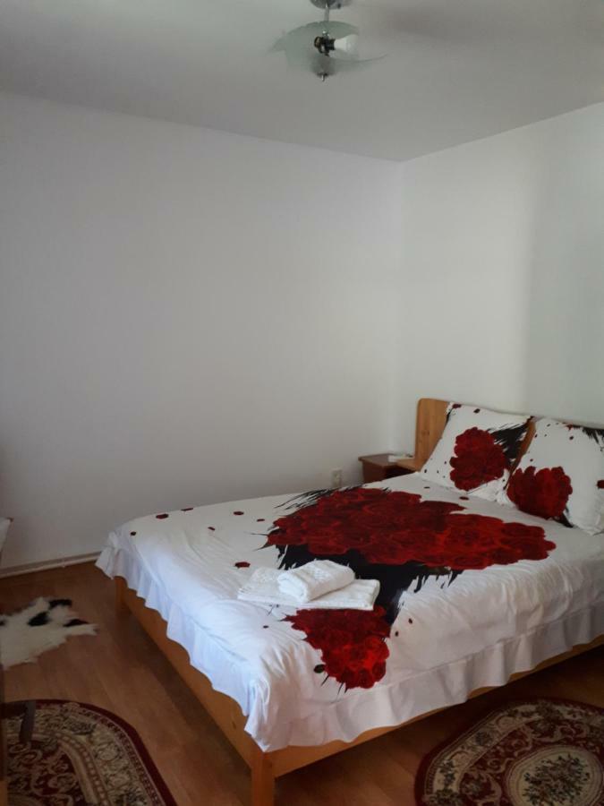 Casa Fetic Lägenhet Nehoiu Exteriör bild