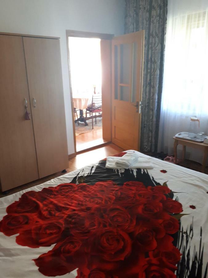 Casa Fetic Lägenhet Nehoiu Exteriör bild